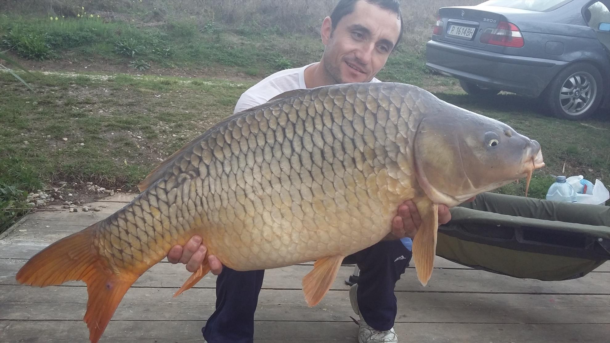 Moara Vlasiei 2016 - 20160927173356.jpg